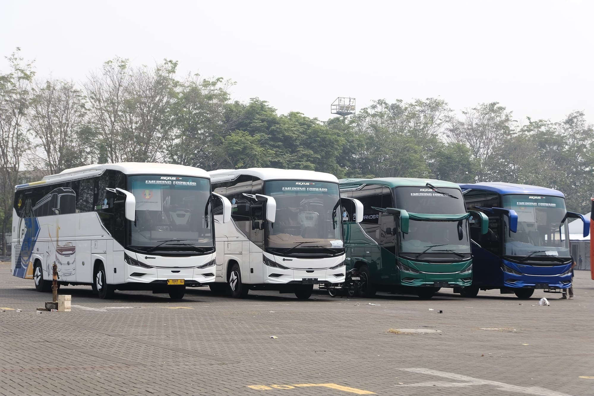 Rexus 8D — karoseri Pialamas